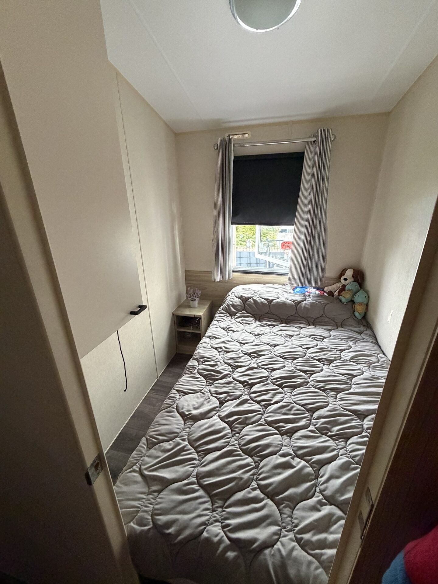 Img 3971