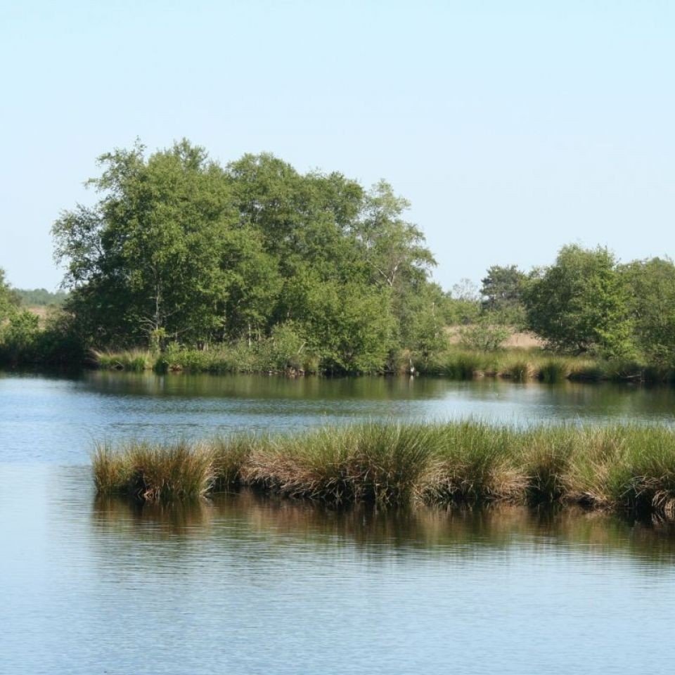 Schoonrewoerdse Wiel